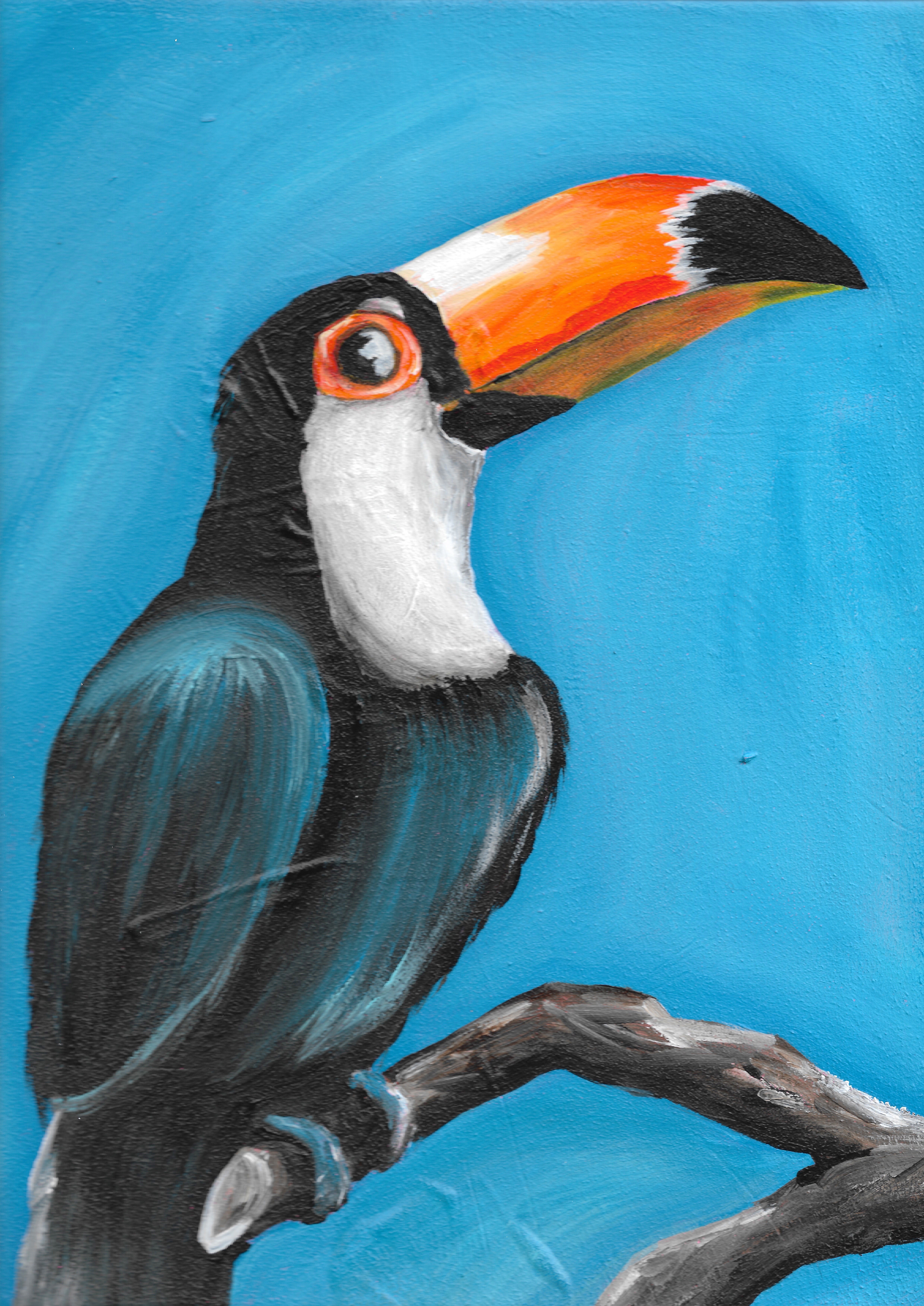 painting of a tucan